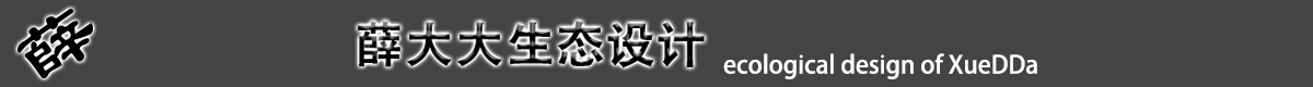 客餐厅-薛大大生态设计薛大大官方网站;毕设;enscape;lumion;vray;sketchup;cad;教学