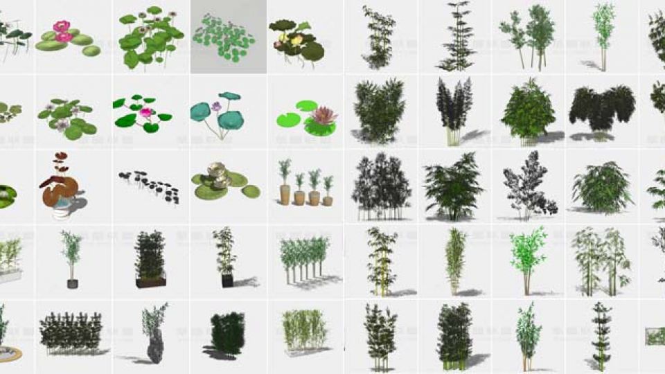 861个2D 3D植物SU模型
