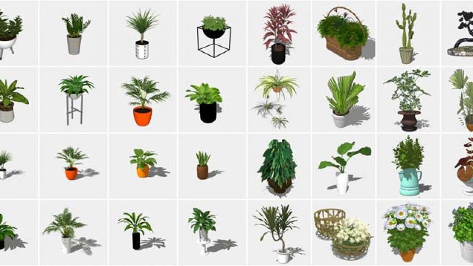 212个盆栽植物su模型