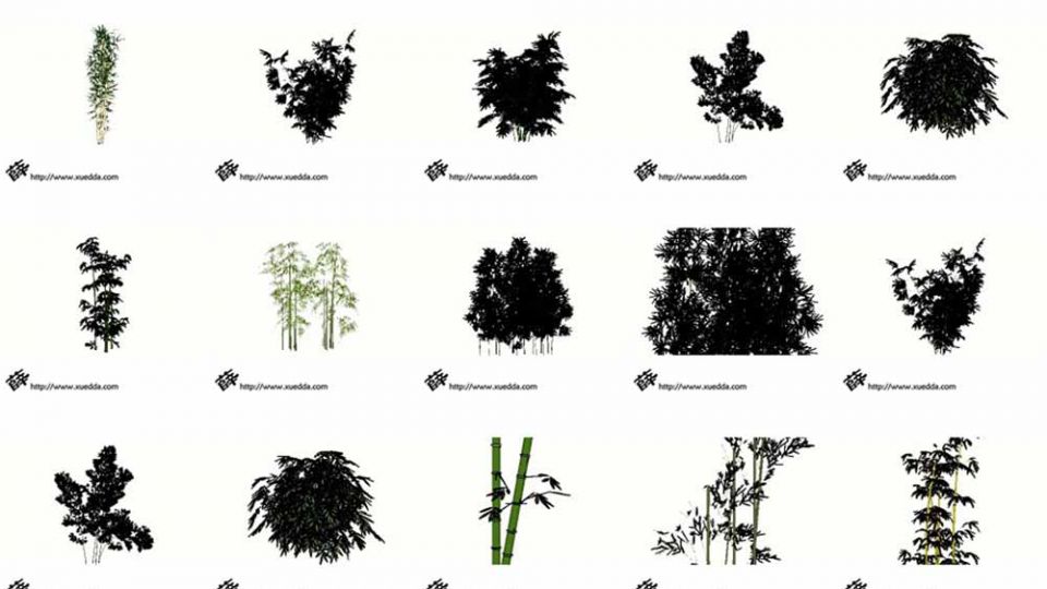 25个竹子植物SU模型