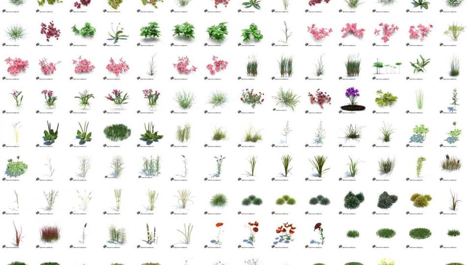 198个草本植物SU模型