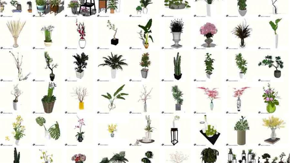 20种绿色植物SU模型