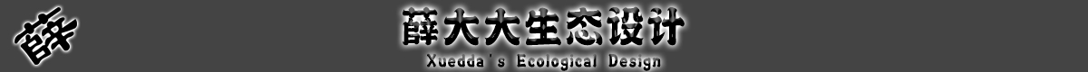 厨房-薛彬的个人主页:薛大大生态设计