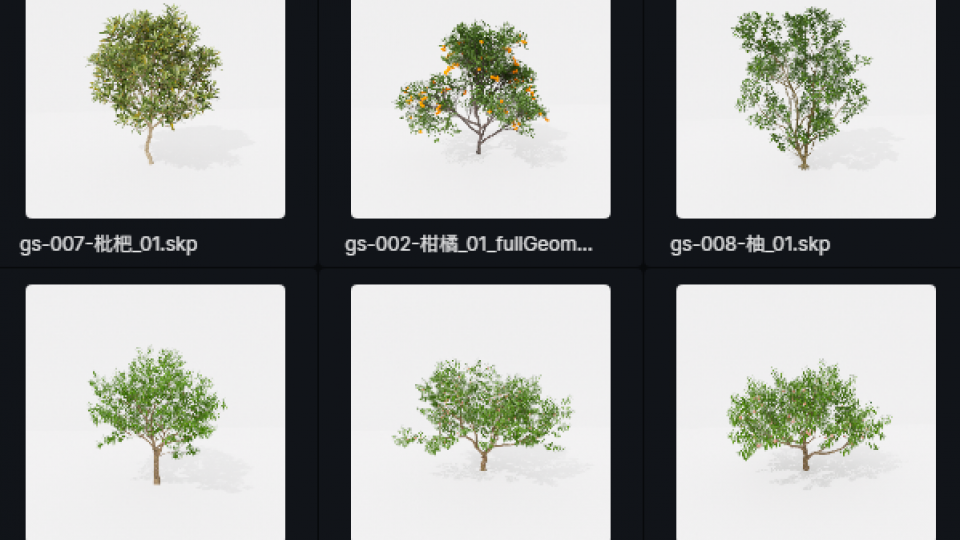 D5模型—果树合集1