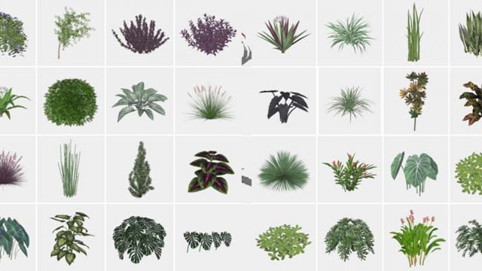 50个景观植物SU模型
