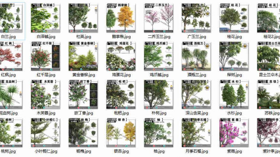 乔木合集SU10