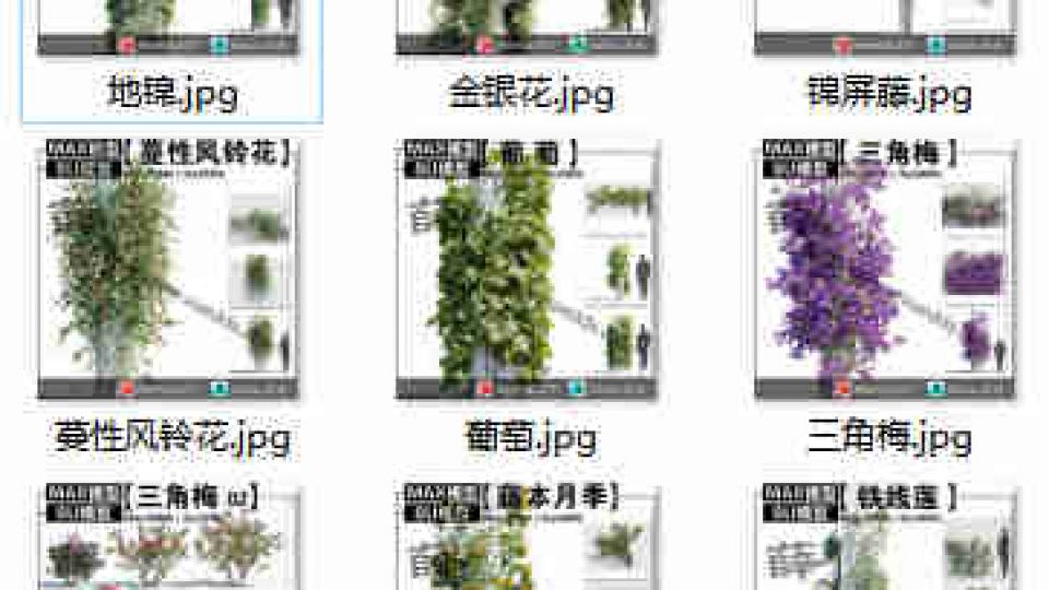 藤本合集SU12