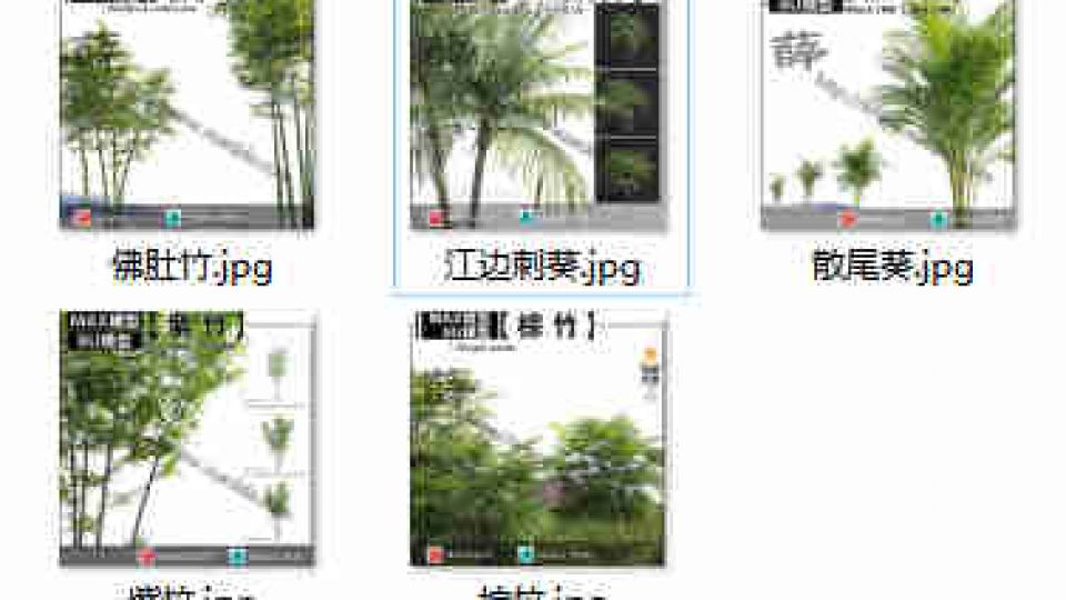 棕榈合集SU13