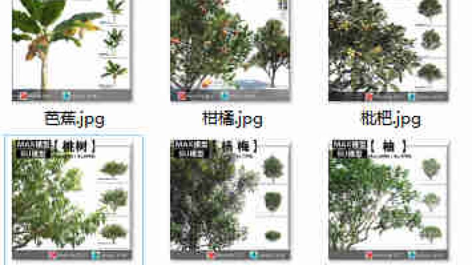 果树合集SU6